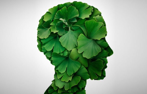 Efeitos do Ginkgo Biloba