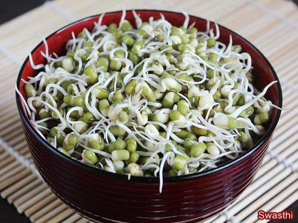 Brotos de feijão na dieta
