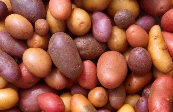 Carboidratos na batata