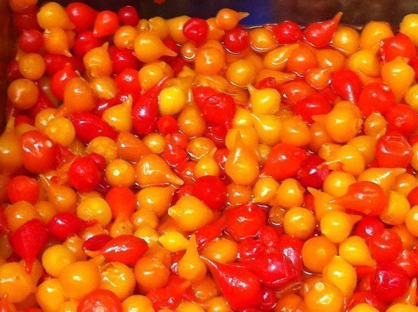 Pimenta biquinho nas receitas