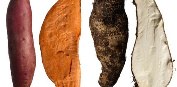 Inhame e batata
